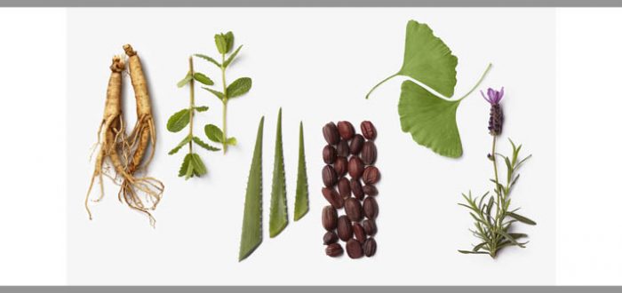 La-Biosthetique-Botanique